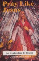 Cover of: Pray like Jesus by John R. Brokhoff