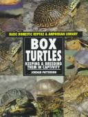 Box turtles by Jordan Patterson