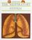 Cover of: The repiratory system, the breath of life