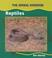 Cover of: Reptiles (The Animal Kingdom)