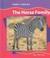 Cover of: The Horse Family (Harvey, Bev. Animal Families.)