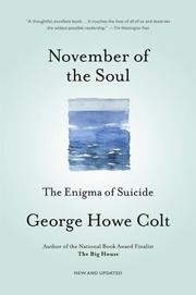 Cover of: November of the soul by George Howe Colt