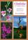 Cover of: Gladiolus in Tropical Africa