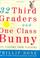 Cover of: 32 Third Graders and One Class Bunny