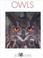 Cover of: Owls (Zoo Books)