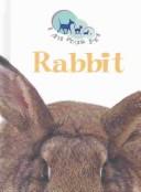 Cover of: Rabbit (I Am Your Pet)