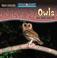 Cover of: Owls Are Night Animals
