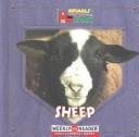 Cover of: Sheep | JoAnn Early Macken