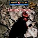 Cover of: Condors =: Cóndor