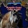 Cover of: Mountain goats =