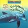 Cover of: Dolphins/Delfines (Let's Read About Animals/ Conozcamos a Los Animales)