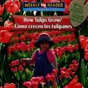 Cover of: How Tulips Grow/como Crecen Los Tulipanes: Como Crecen Los Tulipanes (How Plants Grow/Como Crecen Las Plantas)