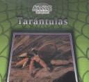 Cover of: Tarantulas/Tarantulas (Aranas Peligrosas/Dangerous Spiders)