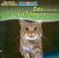 Cover of: Cats Are Night Animals/Los Felinos Son Animales Nocturnos (Night Animals/ Animales Nocturnos)