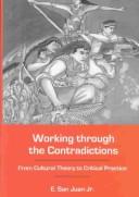 Working Through the Contradictions: From Cultural Theory to Critical Practice