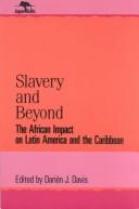 Cover of: Slavery and Beyond by Darien J. Davis