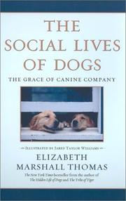Cover of: The Social Lives of Dogs | Elizabeth Marshall Thomas