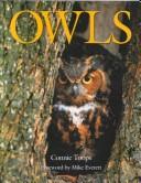 Cover of: The Enchanted Owl