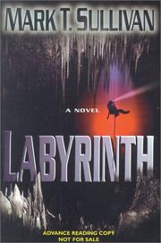 Cover of: Labyrinth by Mark T. Sullivan