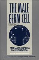 Cover of: The Male germ cell | 