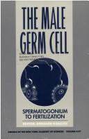 Cover of: The Male Germ Cell: Spermatogonium to Fertilization (Annals of the New York Academy of Sciences, Vol 637)