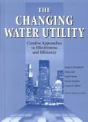 The changing water utility