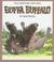 Cover of: Buffa Buffalo