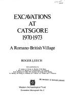 Cover of: Excavations at Catsgore, 1970-77 (Western Archaeological Trust) | R. Leech