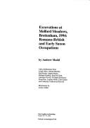 Cover of: Excavations at Melford Meadows, Brettenham, 1994: Romano-British and Early Saxon Occupations (East Anglian Archaeology, 99)