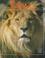 Cover of: The Lion and the Savannah (Animals and Their Ecosystems)