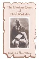 Cover of: The Glorious Quest of Chief Washakie