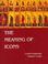 Cover of: The meaning of icons