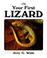 Cover of: Your First Lizard