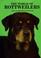 Cover of: The World of Rottweilers