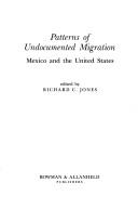Cover of: Patterns of undocumented migration by edited by Richard C. Jones.
