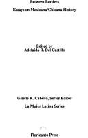 Cover of: Between Borders: Essays on Mexicana/Chicana History (La Mujer Latina Series)