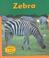 Cover of: Zebra (Zoo Animals)