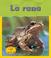 Cover of: La Rana/frog (Lee Y Aprende, Ciclos Vitales/Life Cycles)
