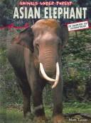 Cover of: Asian Elephant (Animals Under Threat)