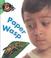 Cover of: Paper Wasp (Bug Books)