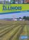 Cover of: All around Illinois