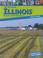 Cover of: All Around Illinois