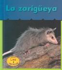 LA Zarigueya / Opossums by Patricia Whitehouse