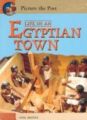 Cover of: Life in an Egyptian Town (Picture the Past)