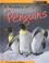 Cover of: A Rookery of Penguins (Animal Groups)