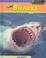 Cover of: Sharks (Sea Creatures)