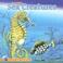 Cover of: Incredible Sea Creatures (Nature (Dalmatian Press))