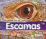 Cover of: Escamas/ Scales (Recubrimientos Del Cuerpo/Body Coverings)