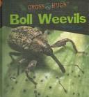 Cover of: Boll Weevils (Kravetz, Jonathan. Gross Bugs)