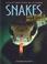 Cover of: Snakes And Other Reptiles (Adapted for Success)